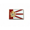 Button Bandeira DeMolay